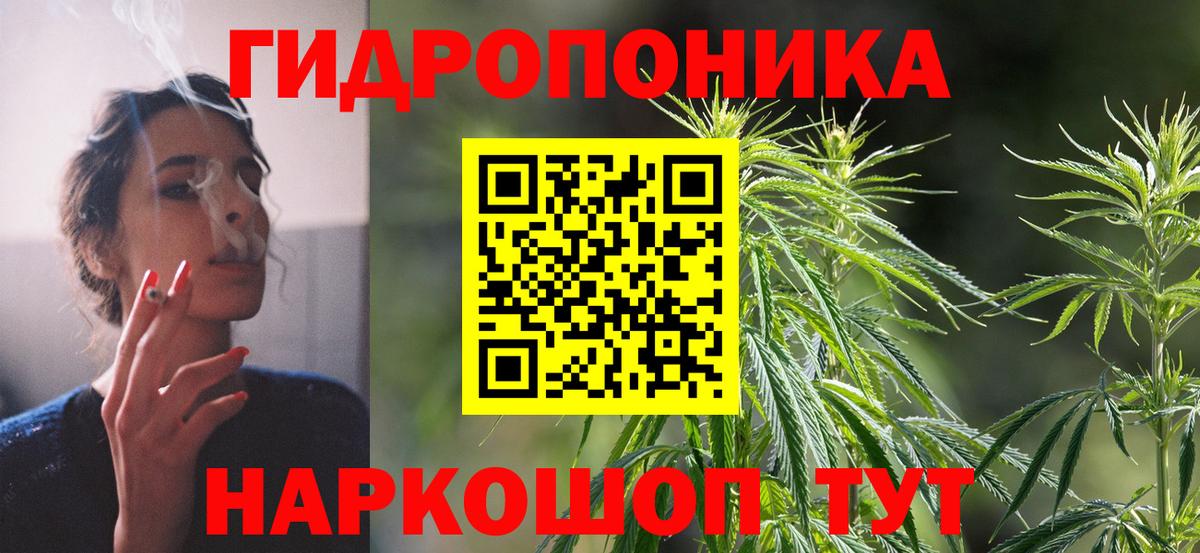 Бошки марихуана ГИДРОПОН  Шишки марихуана OG Kush  Вход с VPN  Петрозаводск  Канабис семена 